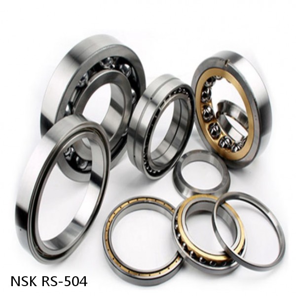 RS-504 NSK CYLINDRICAL ROLLER BEARING #1 small image