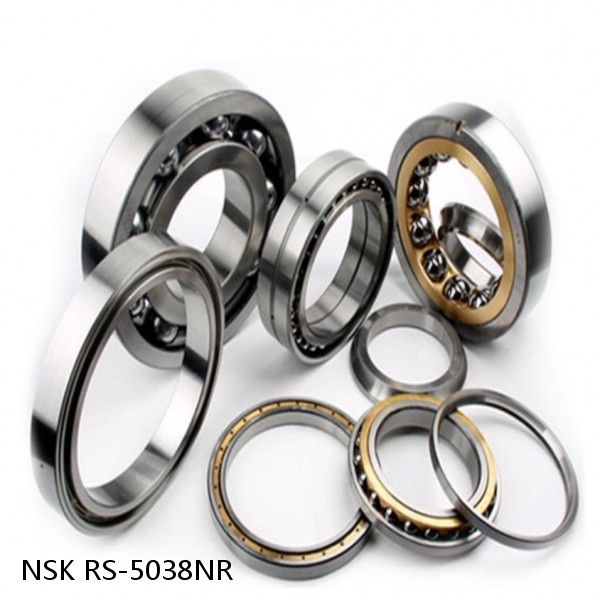 RS-5038NR NSK CYLINDRICAL ROLLER BEARING #1 small image