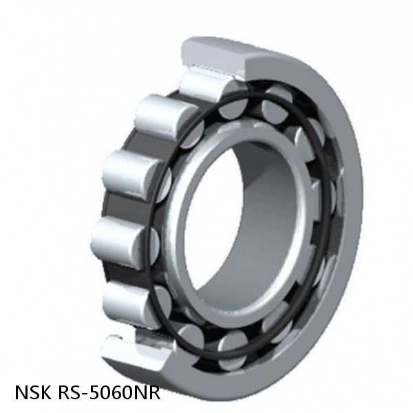 RS-5060NR NSK CYLINDRICAL ROLLER BEARING #1 small image