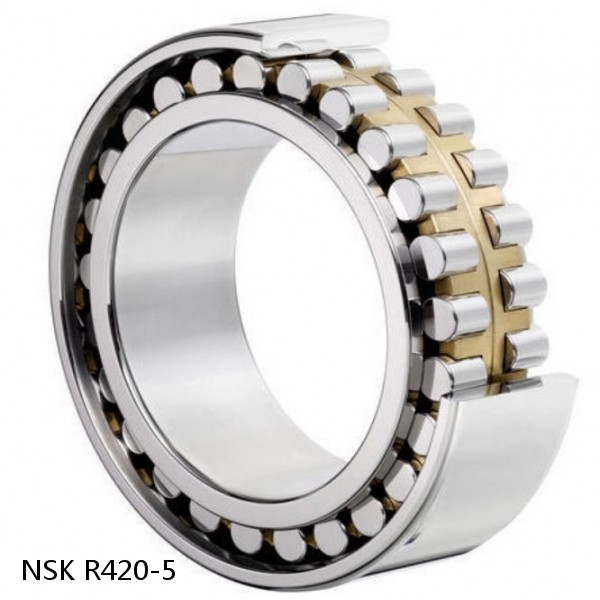 R420-5 NSK CYLINDRICAL ROLLER BEARING #1 small image
