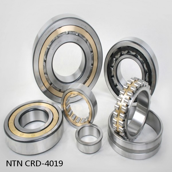 CRD-4019 NTN Cylindrical Roller Bearing #1 small image