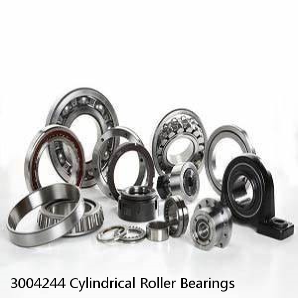 3004244 Cylindrical Roller Bearings #1 small image