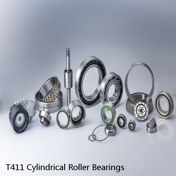 T411 Cylindrical Roller Bearings