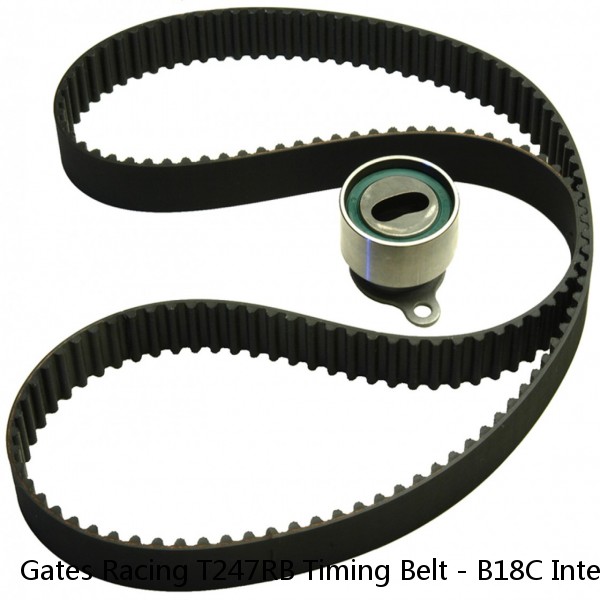 Gates Racing T247RB Timing Belt - B18C Integra GSR / Type-R / JDM B16B #1 small image