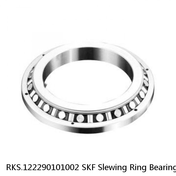 RKS.122290101002 SKF Slewing Ring Bearings #1 image