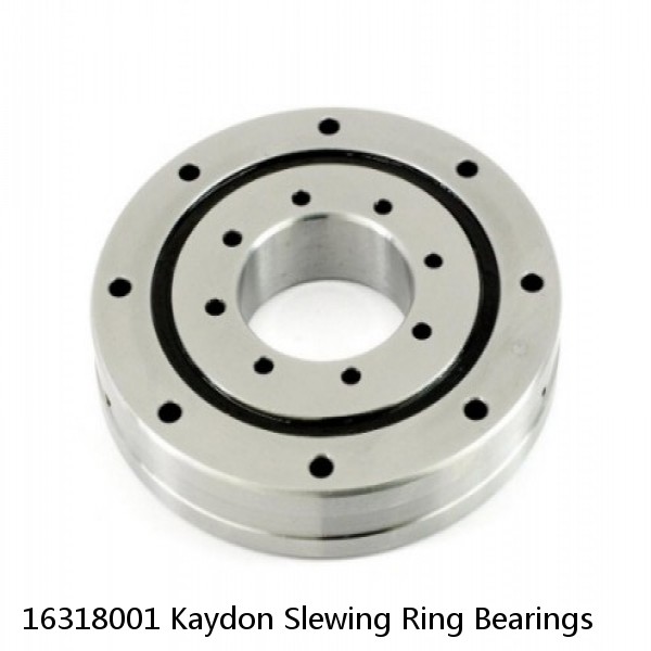 16318001 Kaydon Slewing Ring Bearings #1 image