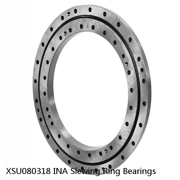 XSU080318 INA Slewing Ring Bearings #1 image