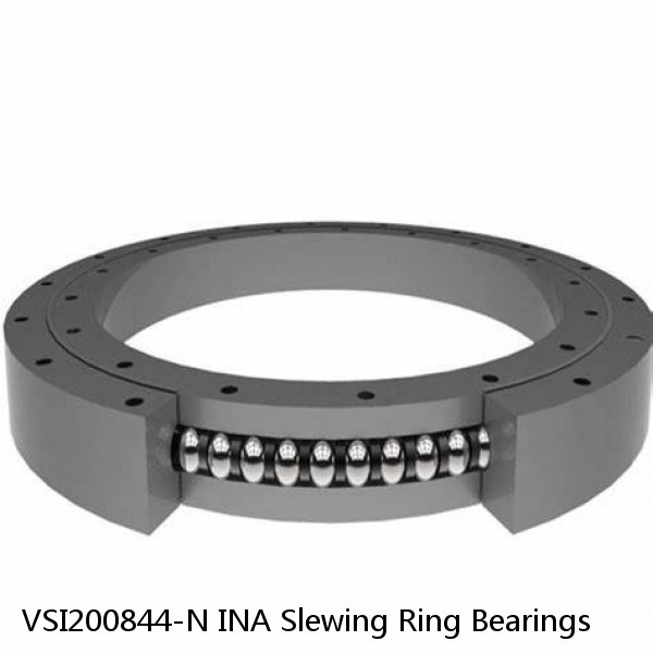 VSI200844-N INA Slewing Ring Bearings #1 image