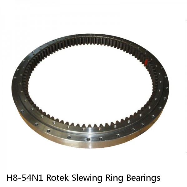 H8-54N1 Rotek Slewing Ring Bearings #1 image