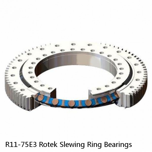 R11-75E3 Rotek Slewing Ring Bearings #1 image