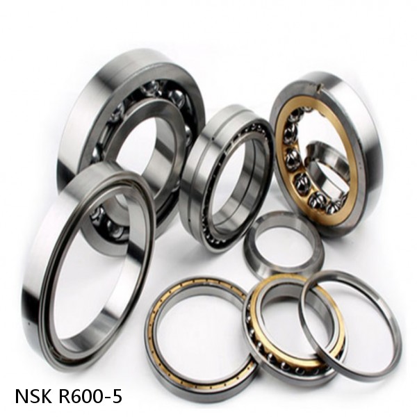 R600-5 NSK CYLINDRICAL ROLLER BEARING #1 image