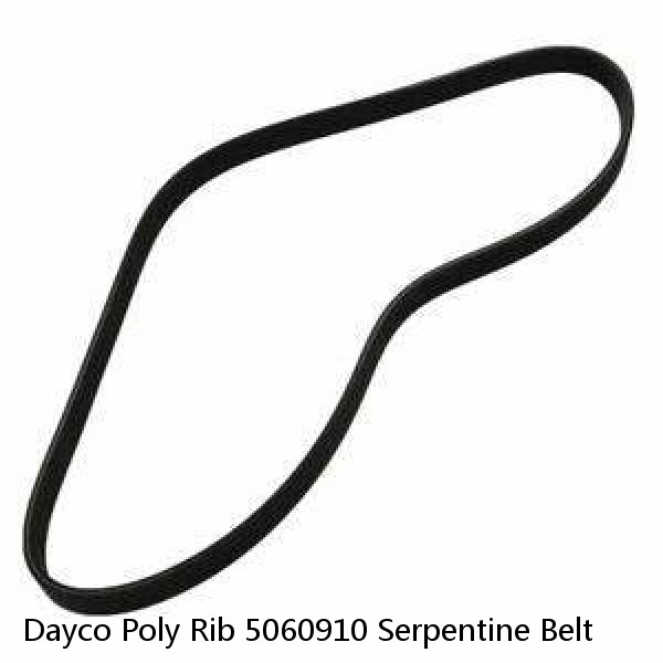 Dayco Poly Rib 5060910 Serpentine Belt #1 image